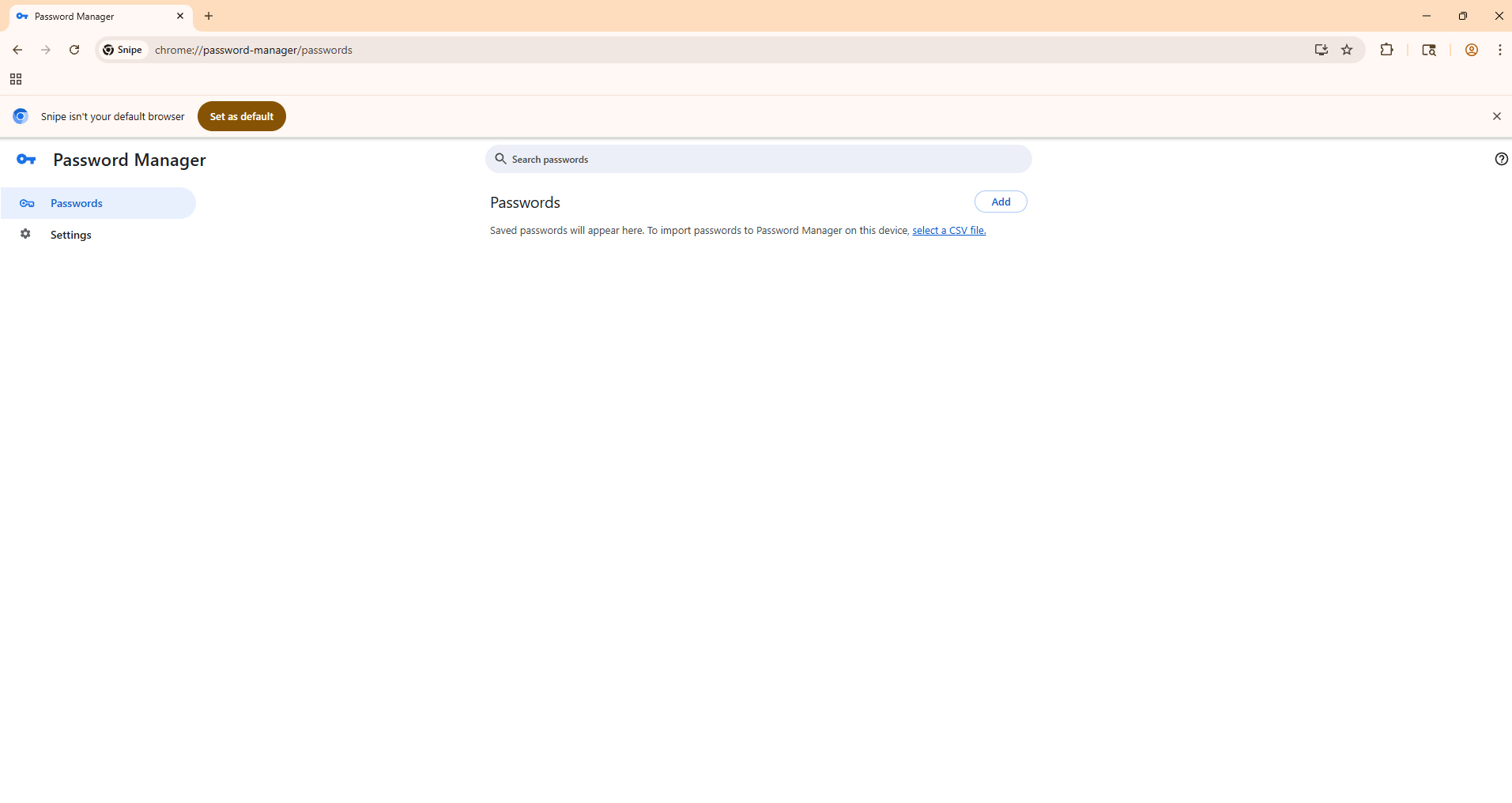 Snipe Password Manager passwords page with select a CSV file link